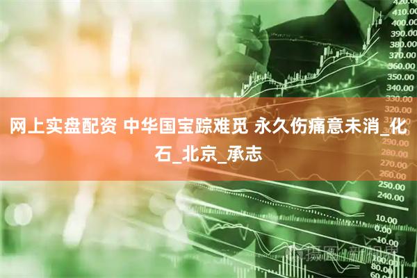 网上实盘配资 中华国宝踪难觅 永久伤痛意未消_化石_北京_承志